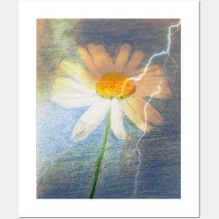 Daisy Posters and Art